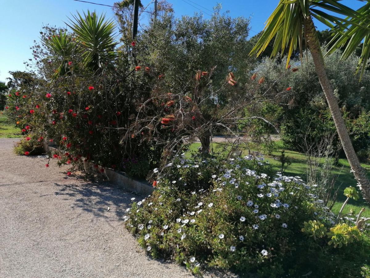 Il Patio Alghero Santa Maria la Palma Ngoại thất bức ảnh
